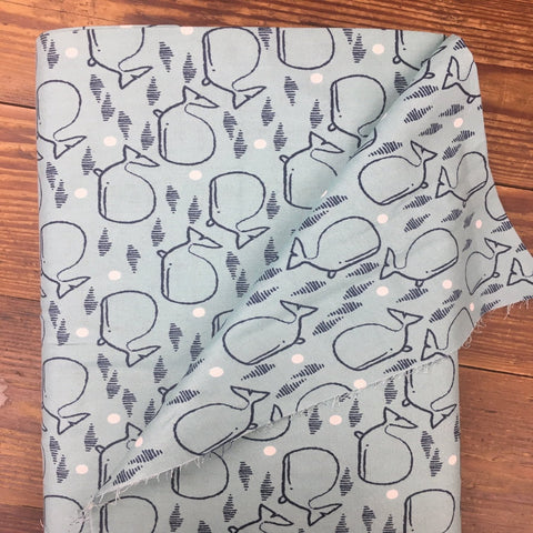 Laska - Whales - Dashwood